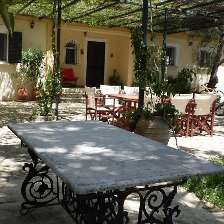 Theni Olive Grove Villa Kato Yerakarion Exteriér fotografie