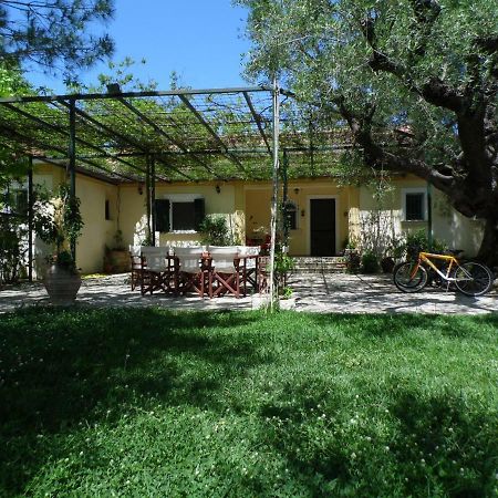 Theni Olive Grove Villa Kato Yerakarion Exteriér fotografie