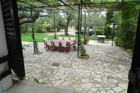 Theni Olive Grove Villa Kato Yerakarion Exteriér fotografie