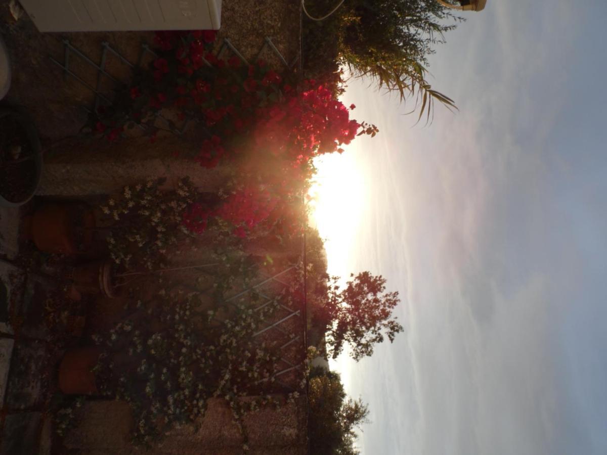 Theni Olive Grove Villa Kato Yerakarion Exteriér fotografie