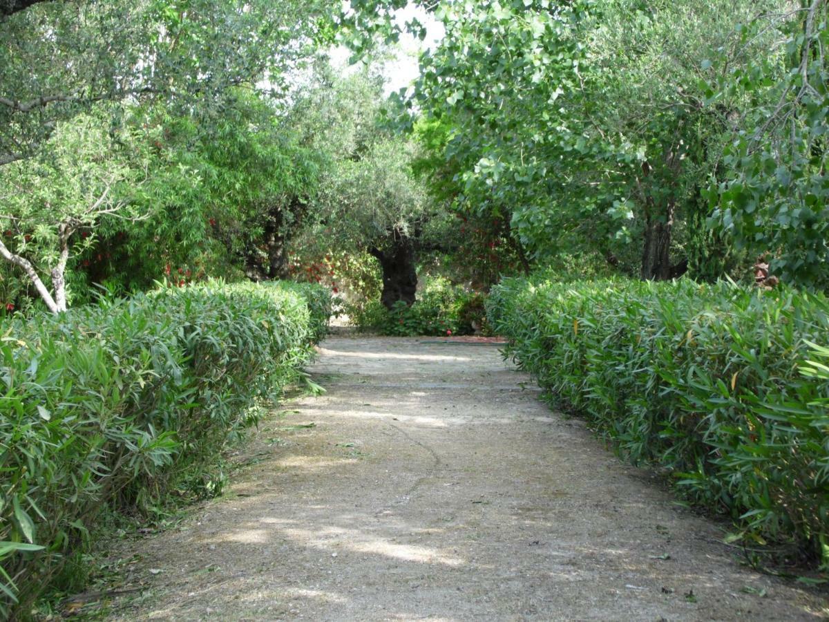 Theni Olive Grove Villa Kato Yerakarion Exteriér fotografie