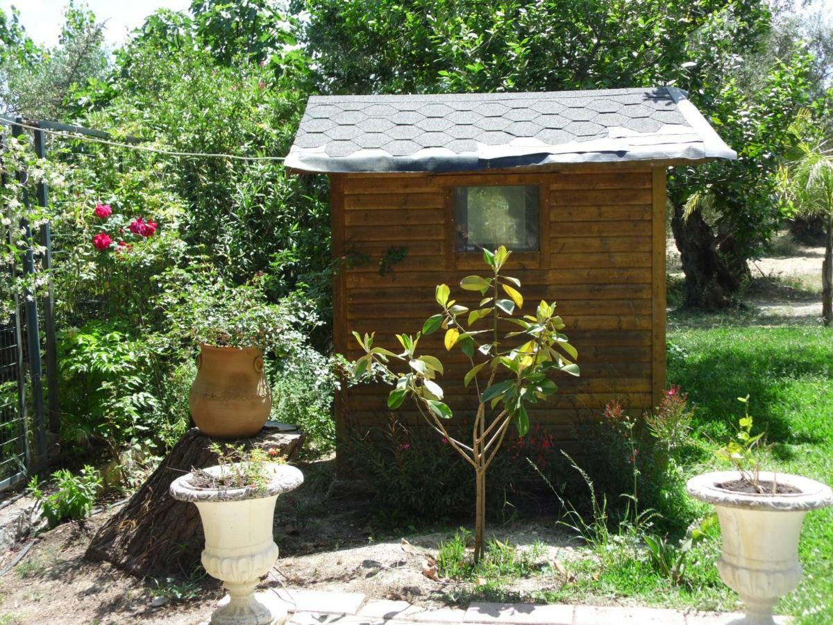 Theni Olive Grove Villa Kato Yerakarion Exteriér fotografie